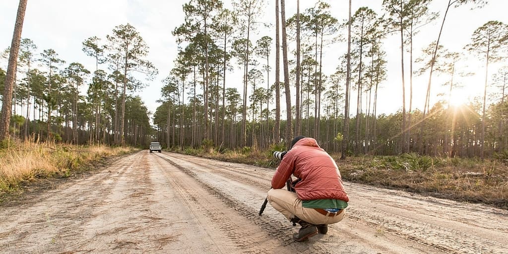 Person taking photo of car tracks