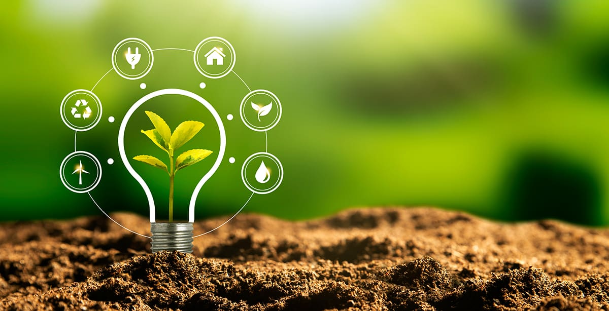 Energy Efficiency Light Bulb