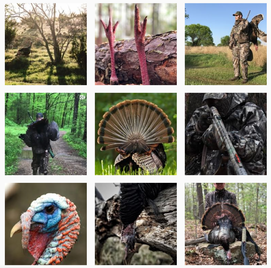 Branding-InstaBlog.png#asset:12349