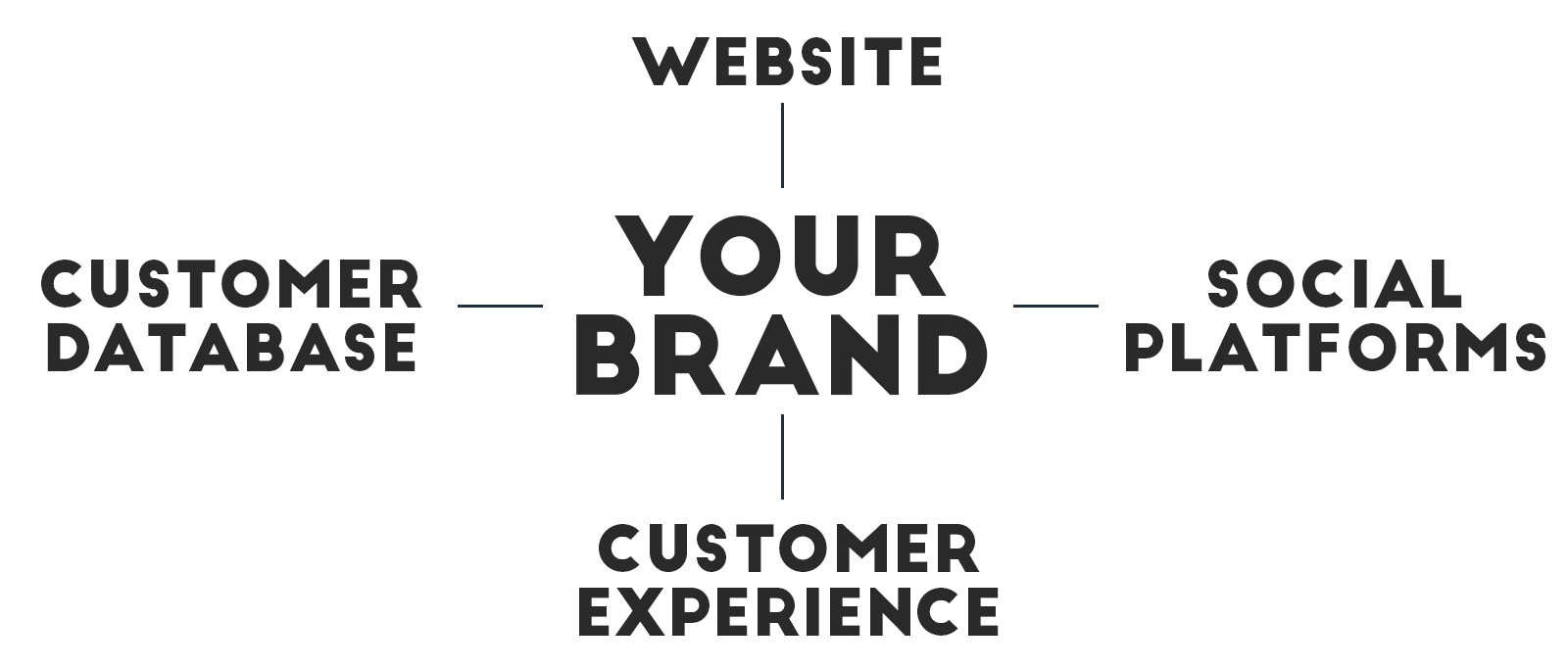 owned_media.jpg#asset:12873