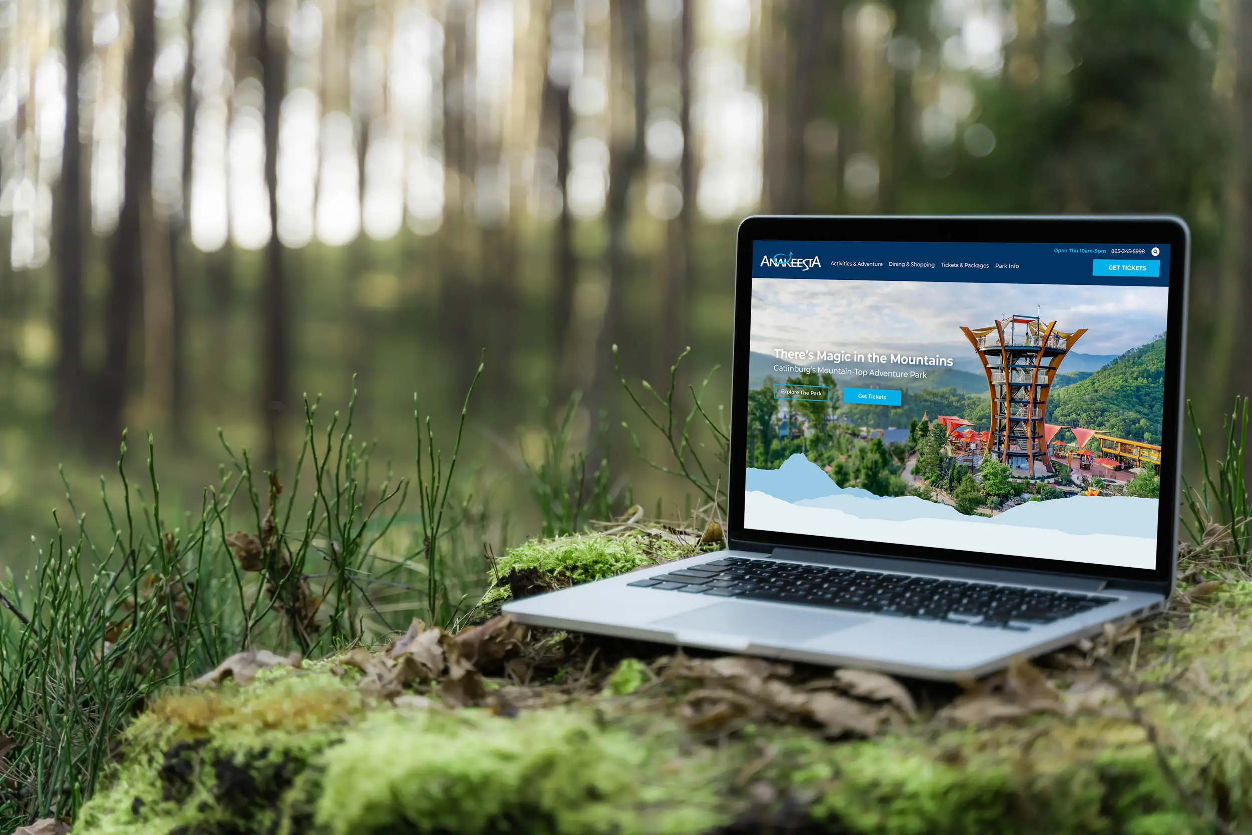 anakeesta website mockup