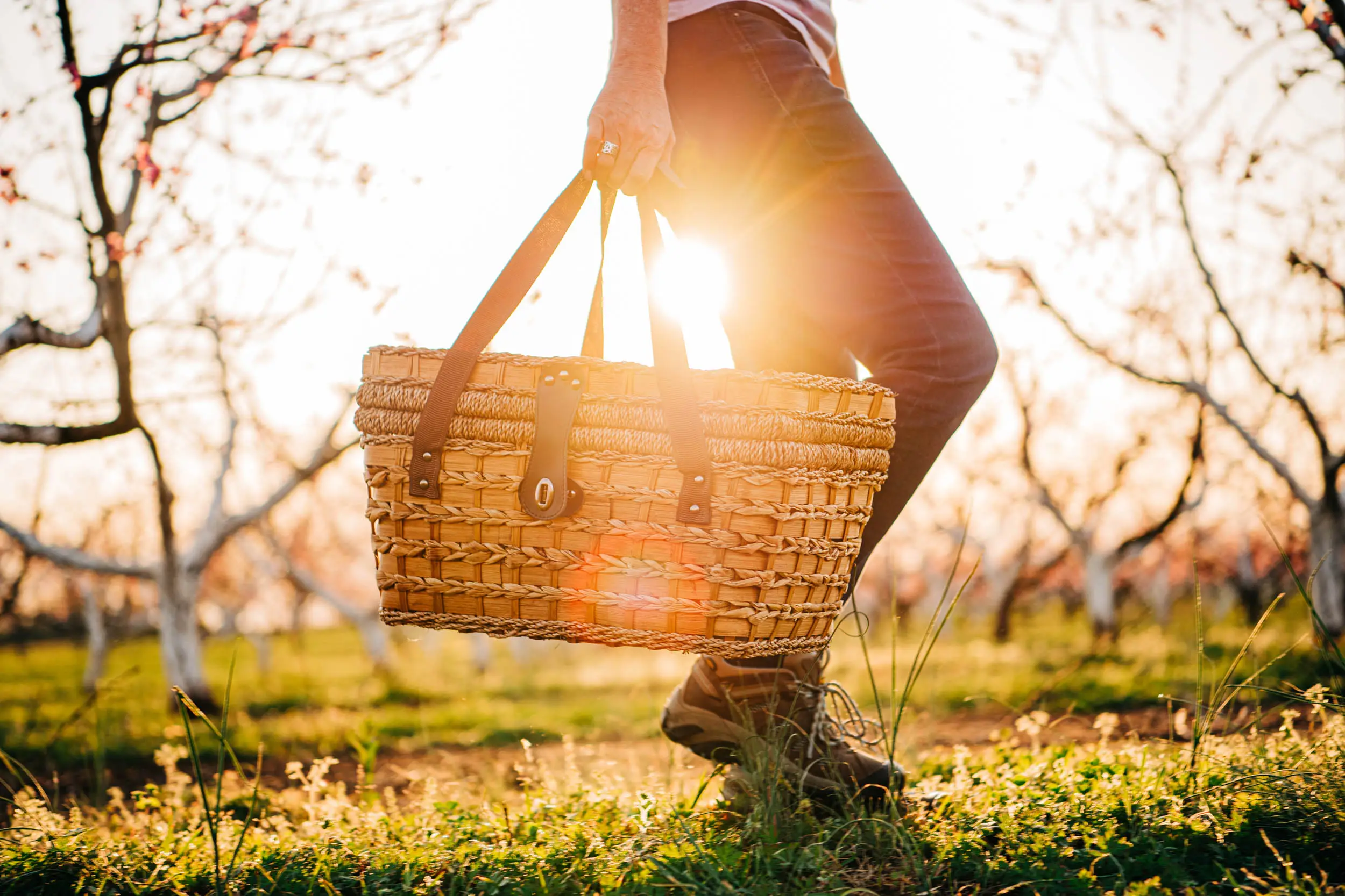 person carrying picnic basket