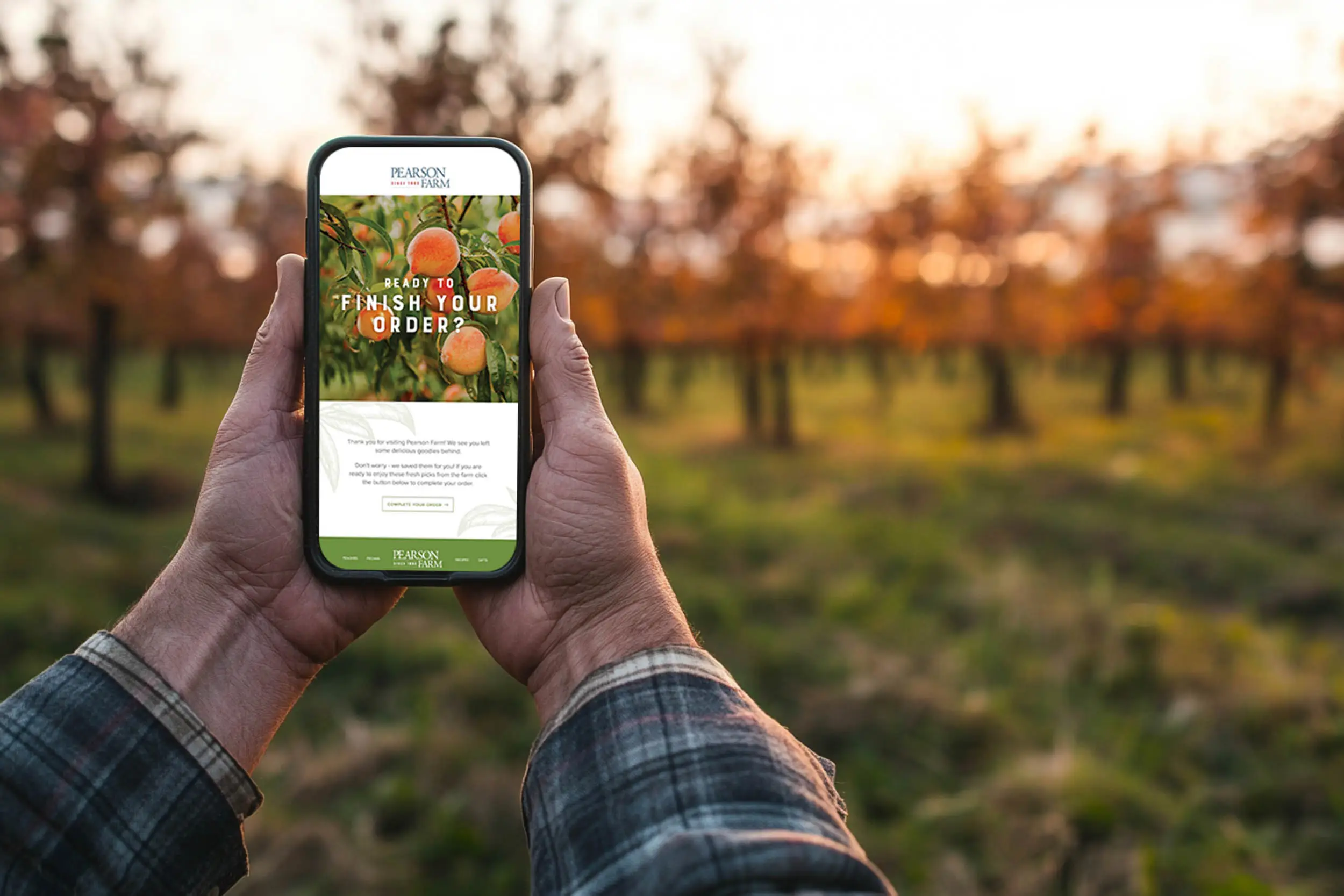 person holding phone in peach orchard with email