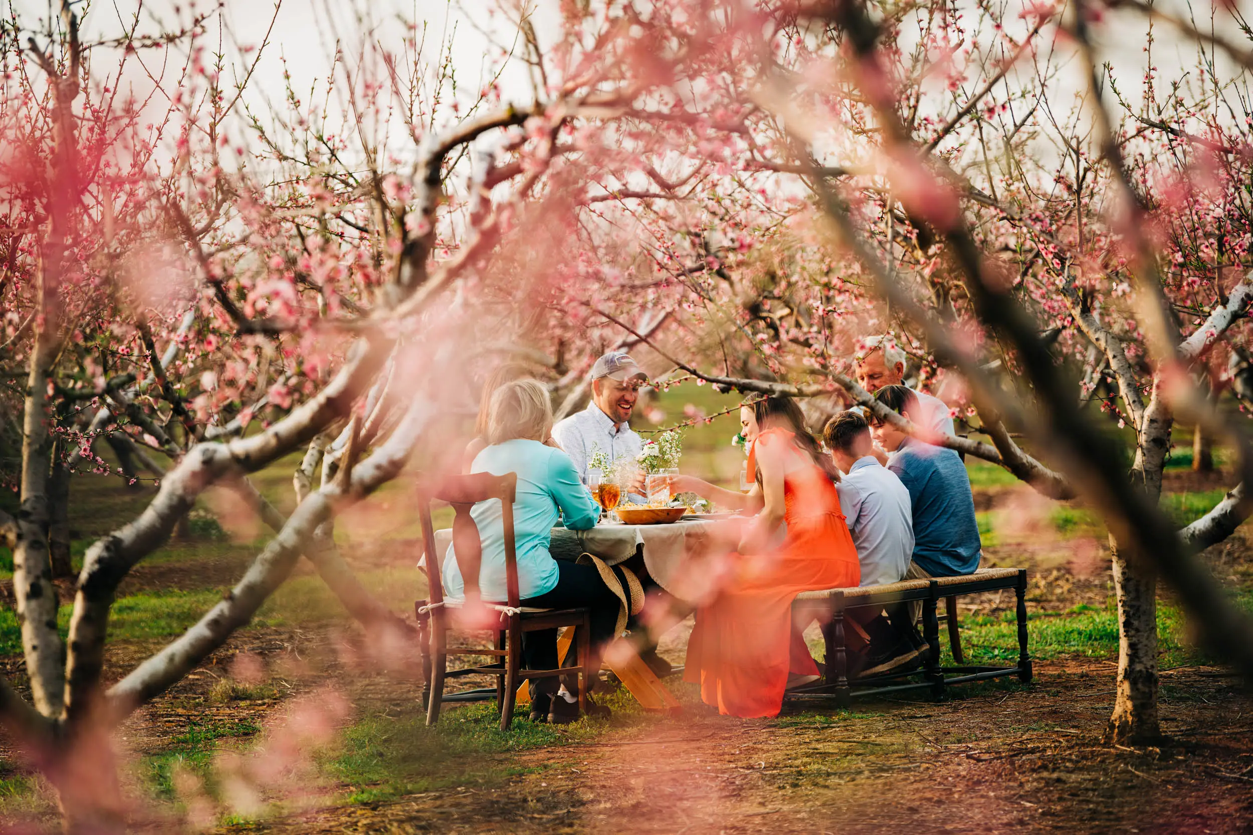 people at picnic table in peach orchard