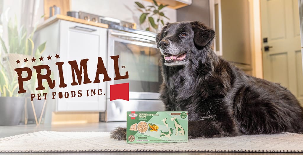 primal pet foods dog with food