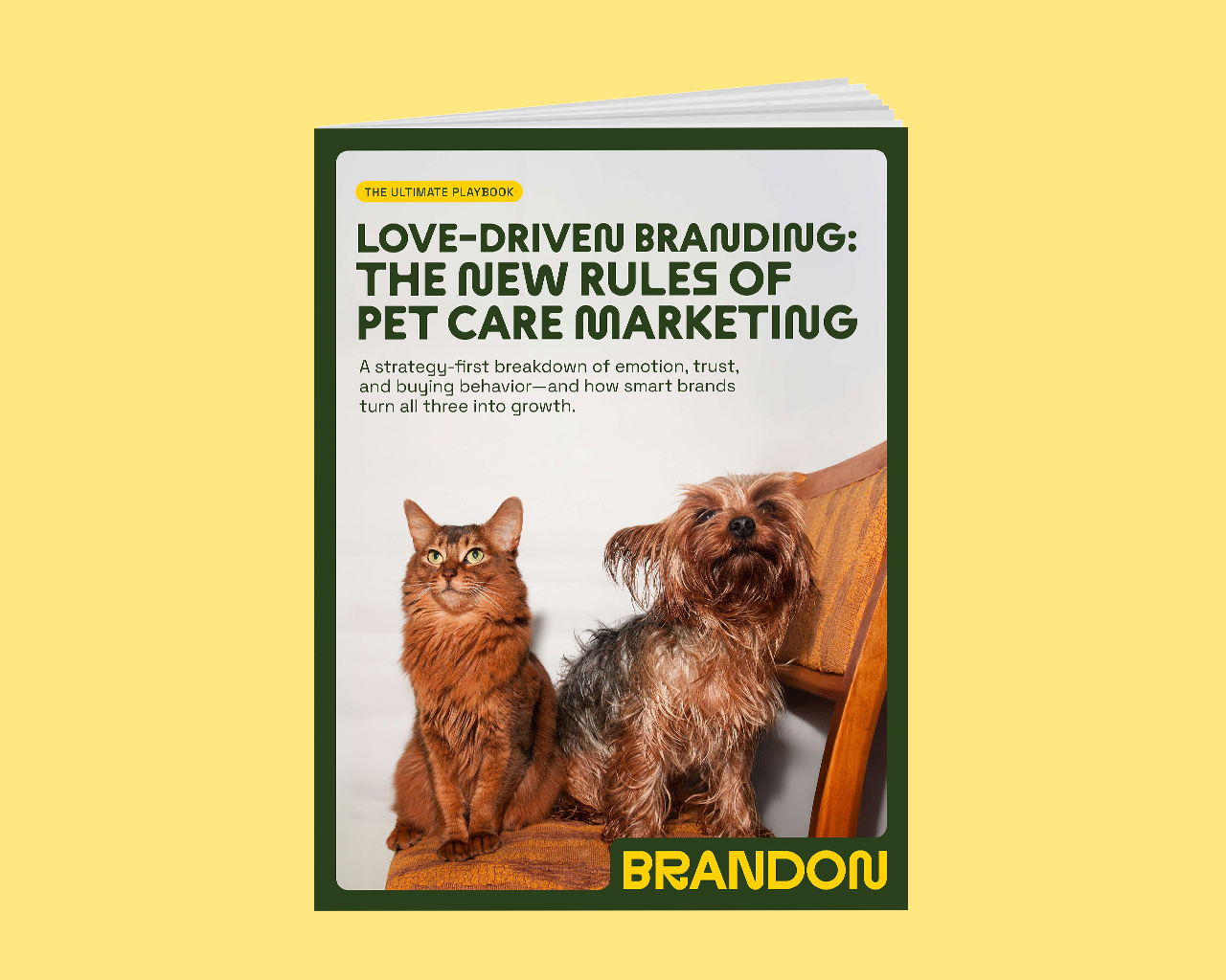 Pet Care Playbook Cover
