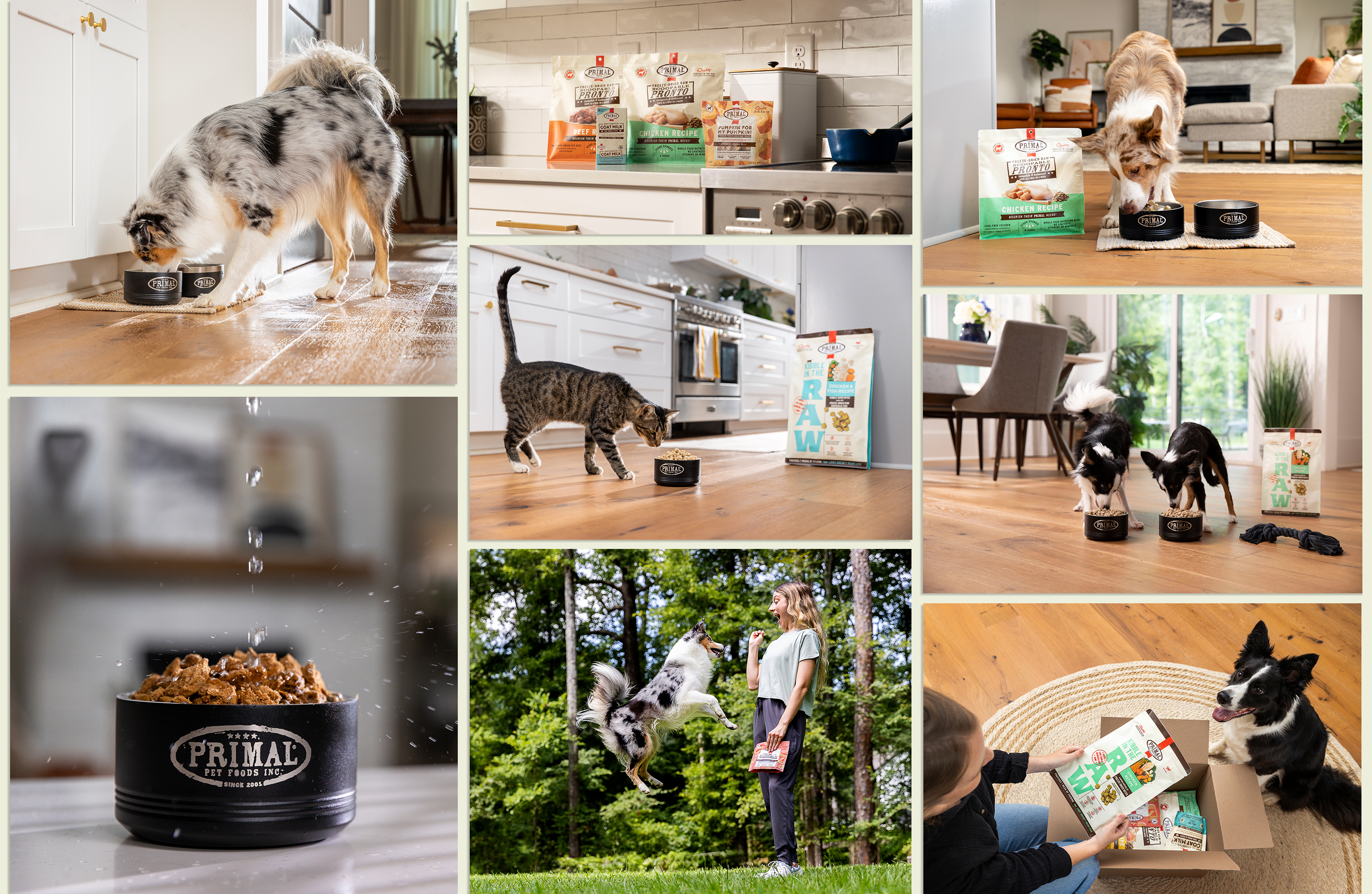 primal pet foods collage