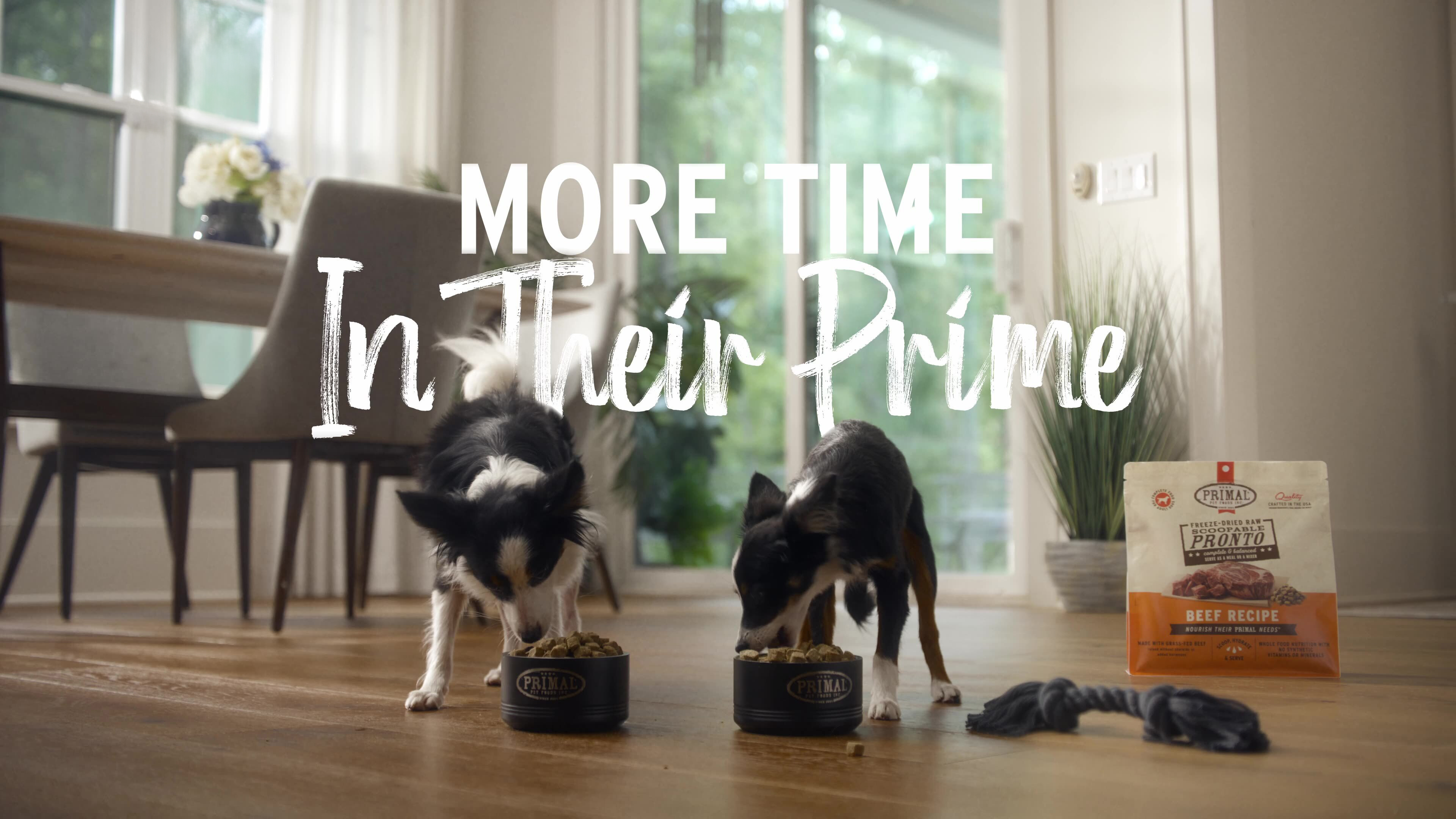 primal pet hero image