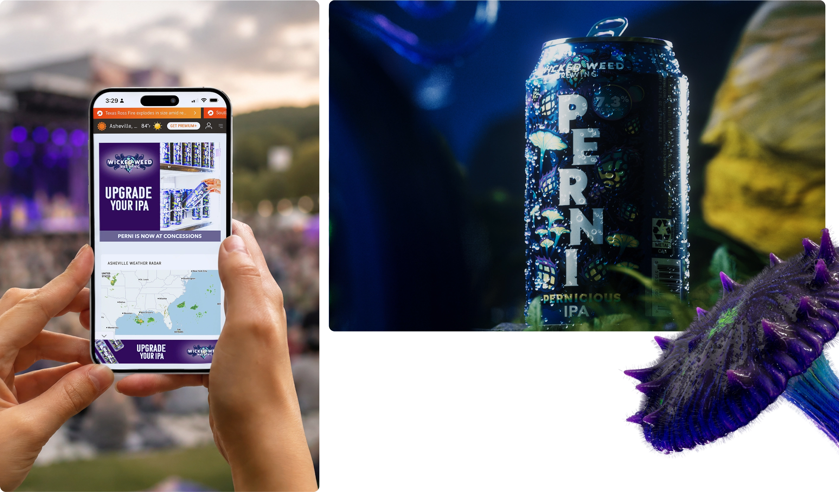 display ads